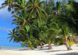 Nautilus Resort Luxury Villas Cook Islands - Nautilus